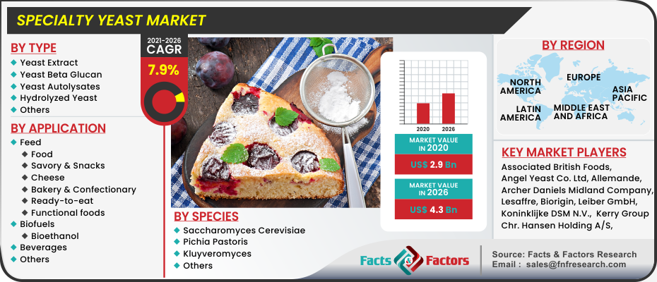 Specialty Yeast Market